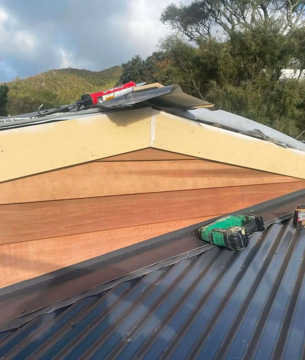 Weatherboard & Rot Repair